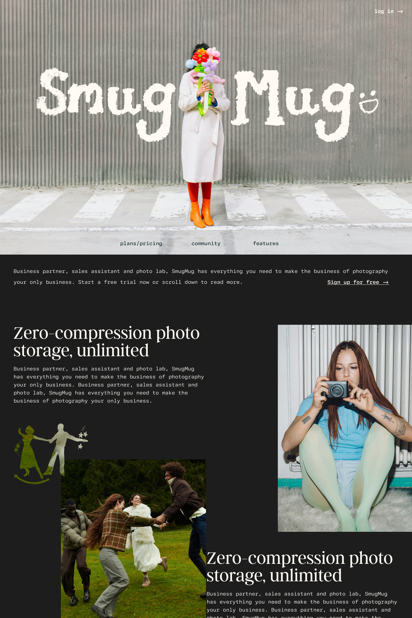 Website Design Example: Whimsy